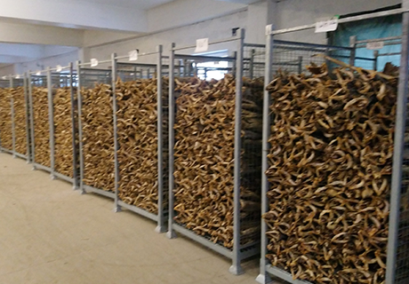 Fiskbur för torkad fisk