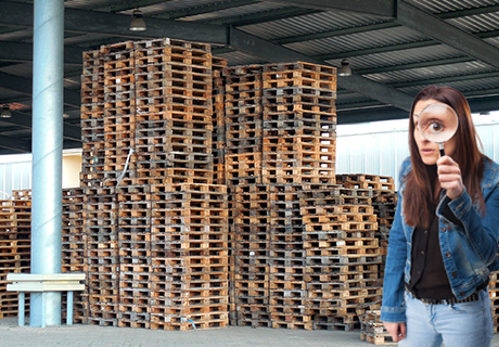 Har du kontroll på dina träpallar?